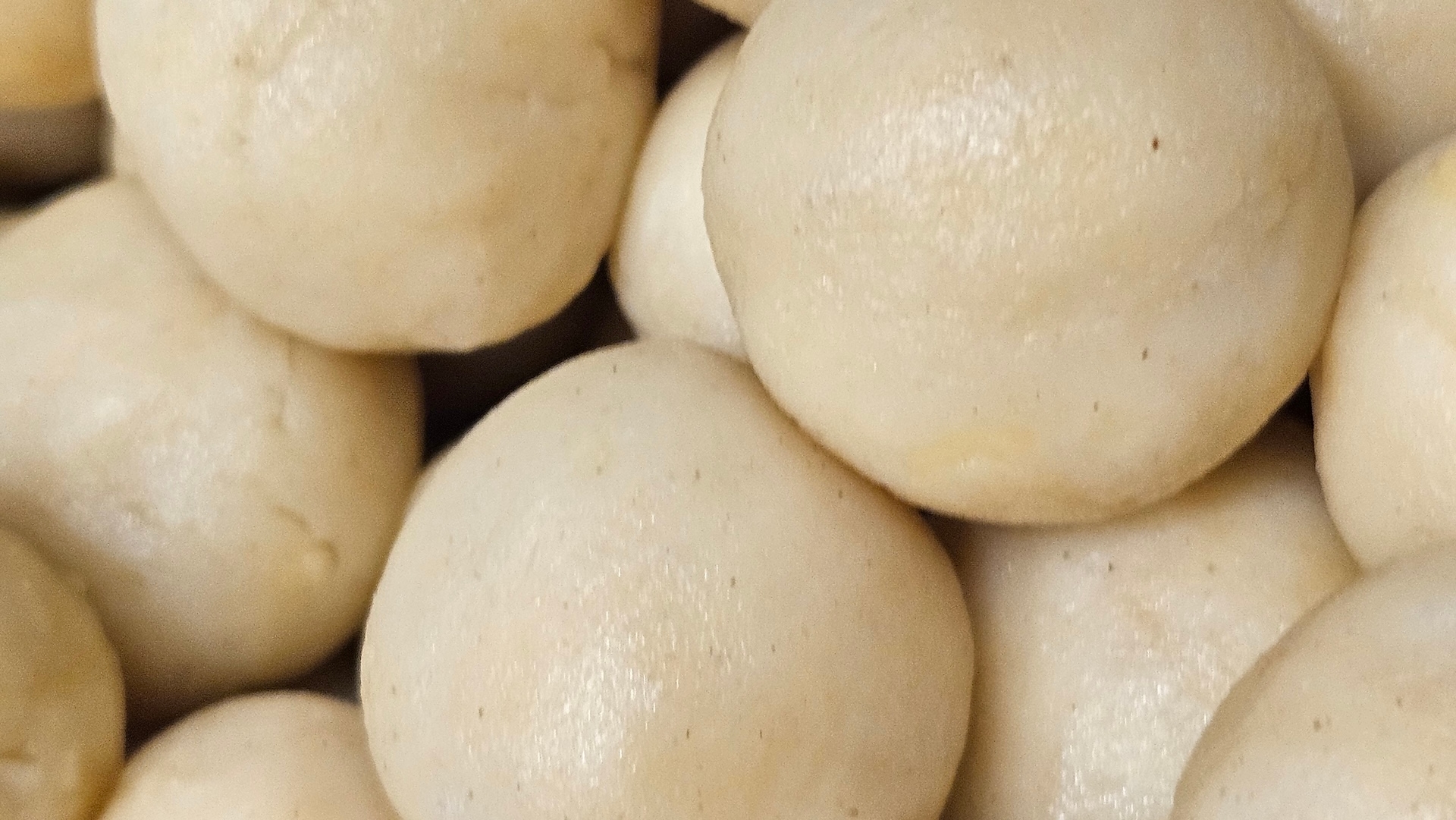 croquetten